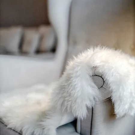 Seestern In Flensburg, Sonwik