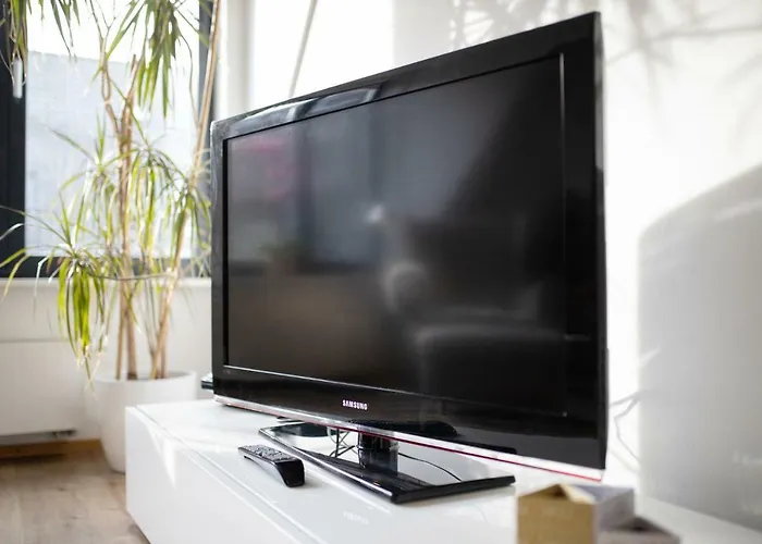 Seestern In Flensburg, Sonwik Flensbourg