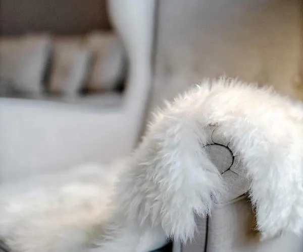 Seestern In Flensburg, Sonwik